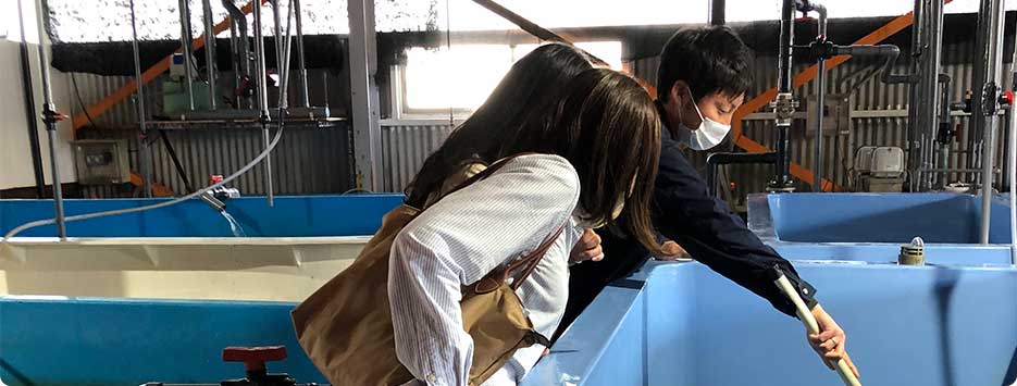 海・大地・産業、泉州地域の 伝統と恵を 味わい尽くす
